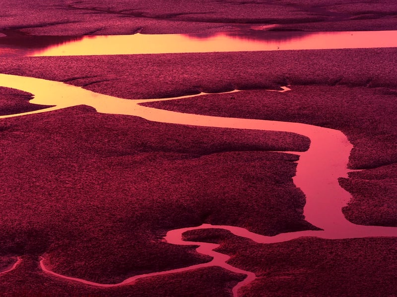 Nature-inspired Patterns